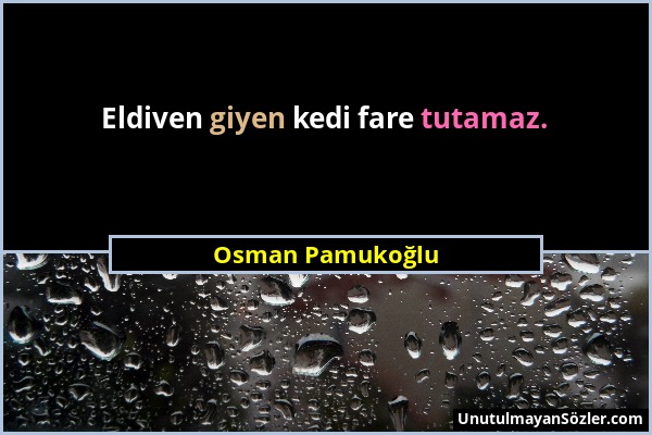 Osman Pamukoğlu - Eldiven giyen kedi fare tutamaz....