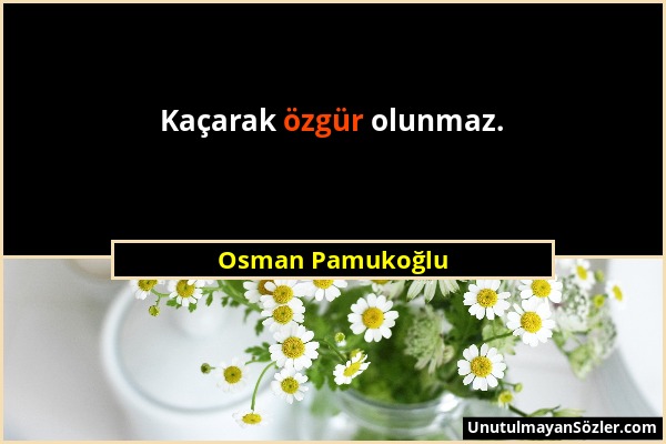Osman Pamukoğlu - Kaçarak özgür olunmaz....