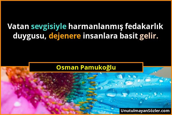 Osman Pamukoğlu - Vatan sevgisiyle harmanlanmış fedakarlık duygusu, dejenere insanlara basit gelir....