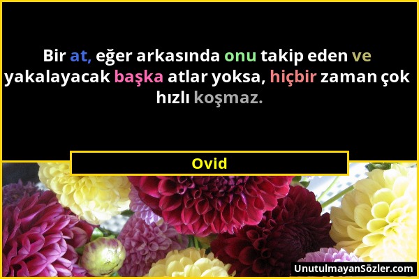 Ovid - Bir at, eğer arkasında onu takip eden ve yakalayacak başka atlar yoksa, hiçbir zaman çok hızlı koşmaz....