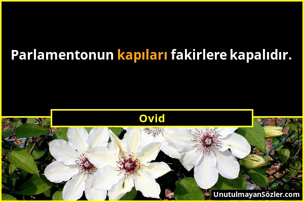 Ovid - Parlamentonun kapıları fakirlere kapalıdır....