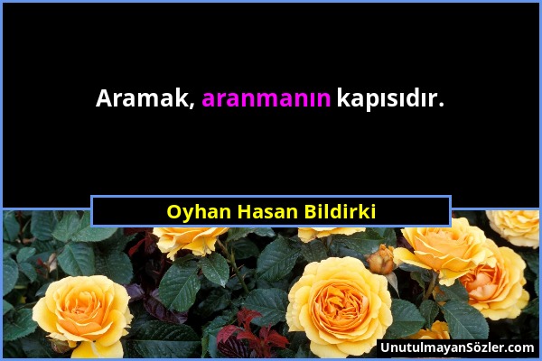 Oyhan Hasan Bildirki - Aramak, aranmanın kapısıdır....