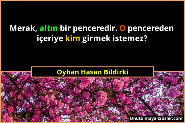 Oyhan Hasan Bildirki - Merak, altın bir penceredir. O pencereden içeriye kim girmek istemez?...