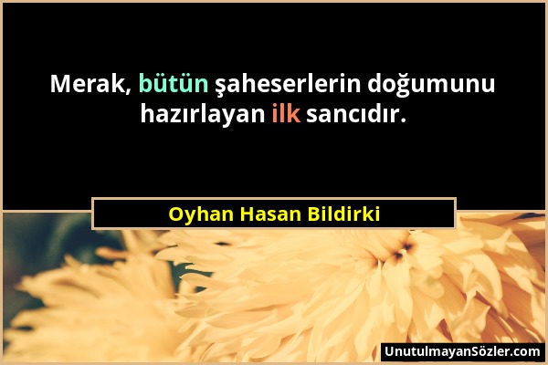 Oyhan Hasan Bildirki - Merak, bütün şaheserlerin doğumunu hazırlayan ilk sancıdır....