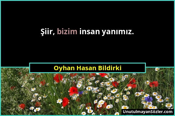 Oyhan Hasan Bildirki - Şiir, bizim insan yanımız....