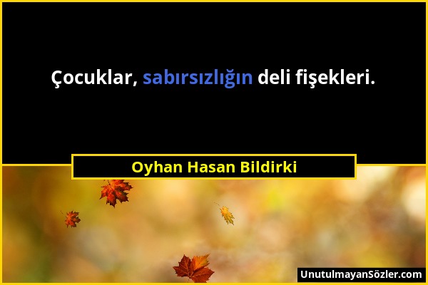 Oyhan Hasan Bildirki - Çocuklar, sabırsızlığın deli fişekleri....