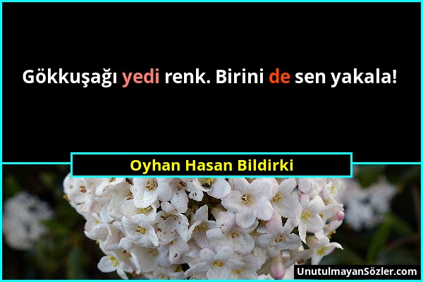 Oyhan Hasan Bildirki - Gökkuşağı yedi renk. Birini de sen yakala!...