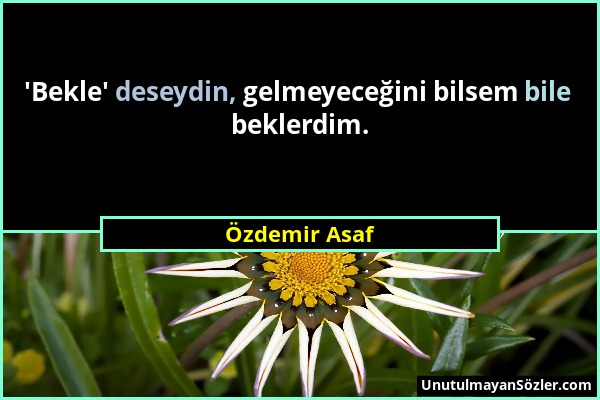 Özdemir Asaf - 'Bekle' deseydin, gelmeyeceğini bilsem bile beklerdim....