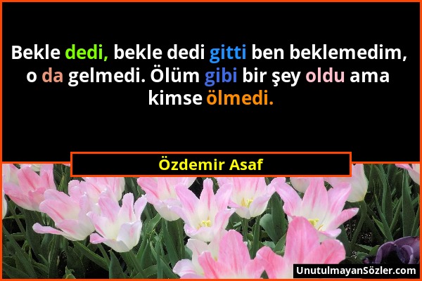 Özdemir Asaf - Bekle dedi, bekle dedi gitti ben beklemedim, o da gelmedi. Ölüm gibi bir şey oldu ama kimse ölmedi....