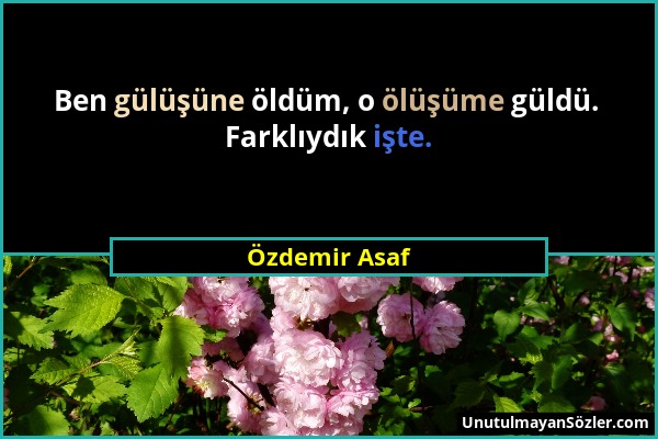 Özdemir Asaf - Ben gülüşüne öldüm, o ölüşüme güldü. Farklıydık işte....