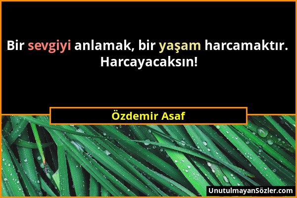 Özdemir Asaf - Bir sevgiyi anlamak, bir yaşam harcamaktır. Harcayacaksın!...