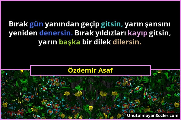 Özdemir Asaf - Bırak gün yanından geçip gitsin, yarın şansını yeniden denersin. Bırak yıldızları kayıp gitsin, yarın başka bir dilek dilersin....