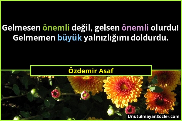 Özdemir Asaf - Gelmesen önemli değil, gelsen önemli olurdu! Gelmemen büyük yalnızlığımı doldurdu....