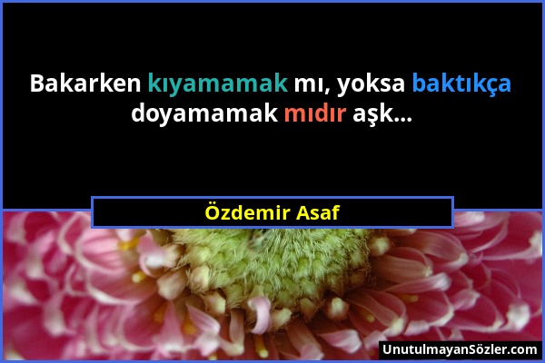 Özdemir Asaf - Bakarken kıyamamak mı, yoksa baktıkça doyamamak mıdır aşk......