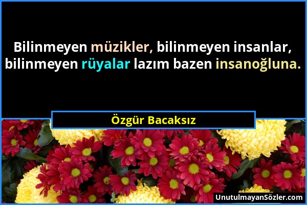 Özgür Bacaksız - Bilinmeyen müzikler, bilinmeyen insanlar, bilinmeyen rüyalar lazım bazen insanoğluna....