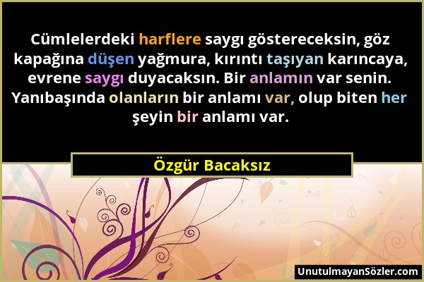 Özgür Bacaksız - Cümlelerdeki harflere saygı göstereceksin, göz kapağına düşen yağmura, kırıntı taşıyan karıncaya, evrene saygı duyacaksın. Bir anlamı...