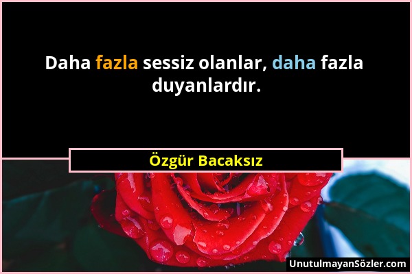 Özgür Bacaksız - Daha fazla sessiz olanlar, daha fazla duyanlardır....