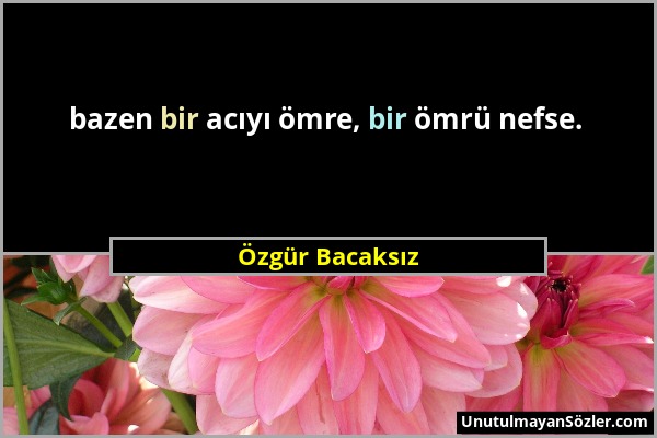 Özgür Bacaksız - bazen bir acıyı ömre, bir ömrü nefse....