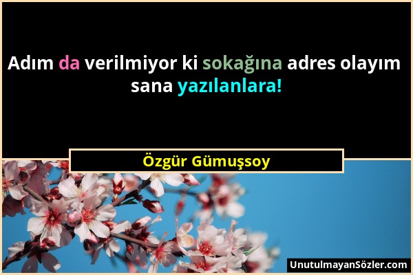 Özgür Gümuşsoy - Adım da verilmiyor ki sokağına adres olayım sana yazılanlara!...