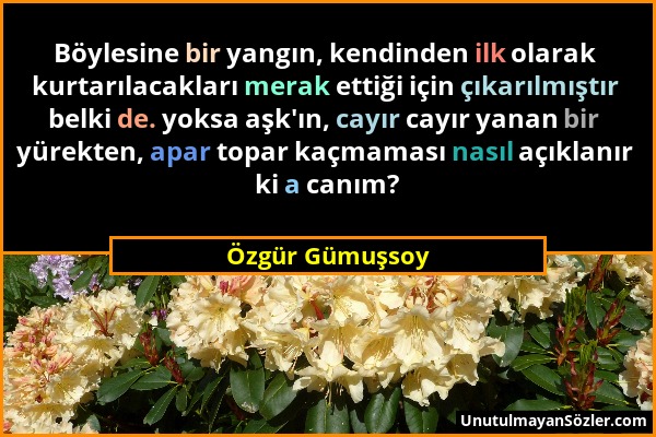 Özgür Gümuşsoy - Böylesine bir yangın, kendinden ilk olarak kurtarılacakları merak ettiği için çıkarılmıştır belki de. yoksa aşk'ın, cayır cayır yanan...