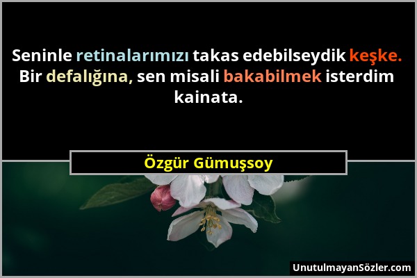 Özgür Gümuşsoy - Seninle retinalarımızı takas edebilseydik keşke. Bir defalığına, sen misali bakabilmek isterdim kainata....