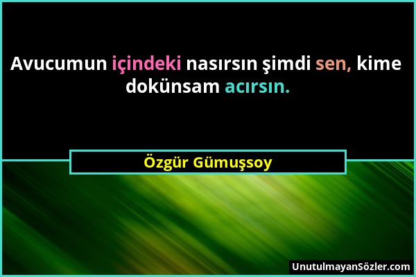 Özgür Gümuşsoy - Avucumun içindeki nasırsın şimdi sen, kime dokünsam acırsın....