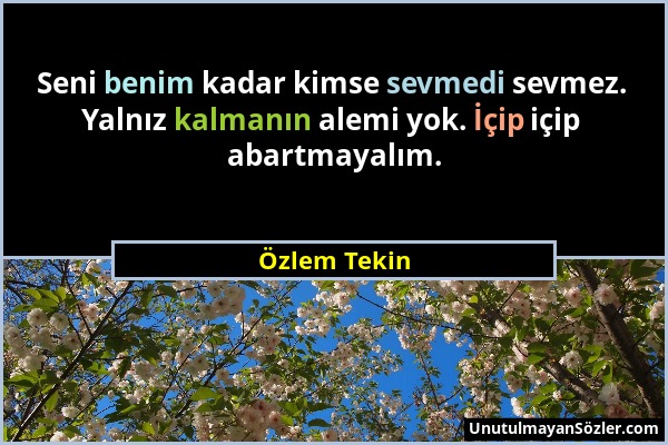 Özlem Tekin - Seni benim kadar kimse sevmedi sevmez. Yalnız kalmanın alemi yok. İçip içip abartmayalım....