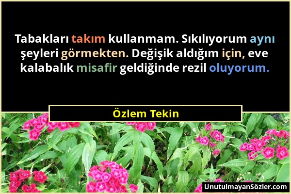 Özlem Tekin - Tabakları takım kullanmam. Sıkılıyorum aynı şeyleri görmekten. Değişik aldığım için, eve kalabalık misafir geldiğinde rezil oluyorum....