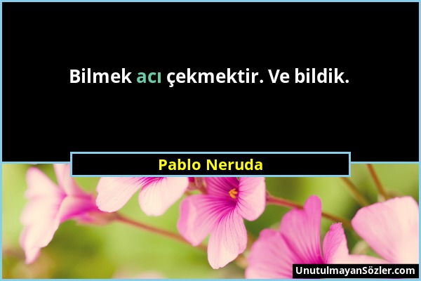 Pablo Neruda - Bilmek acı çekmektir. Ve bildik....