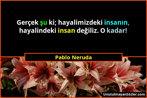 Pablo Neruda - Gerçek şu ki; hayalimizdeki insanın, hayalindeki insan değiliz. O kadar!...