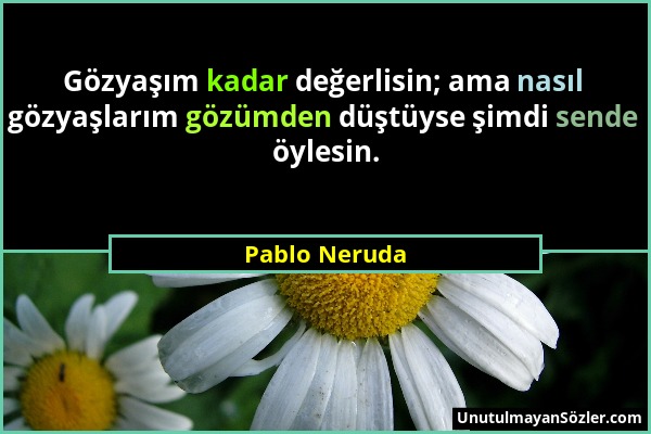 Pablo Neruda - Gözyaşım kadar değerlisin; ama nasıl gözyaşlarım gözümden düştüyse şimdi sende öylesin....