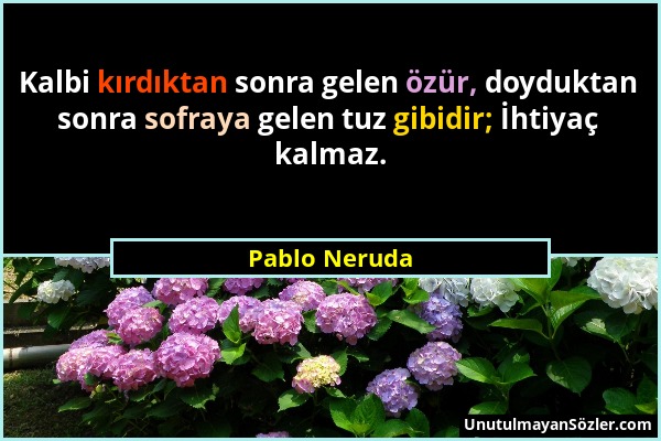 Pablo Neruda - Kalbi kırdıktan sonra gelen özür, doyduktan sonra sofraya gelen tuz gibidir; İhtiyaç kalmaz....