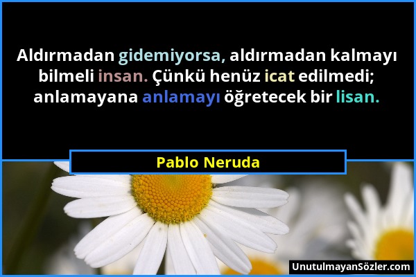 Pablo Neruda - Aldırmadan gidemiyorsa, aldırmadan kalmayı bilmeli insan. Çünkü henüz icat edilmedi; anlamayana anlamayı öğretecek bir lisan....