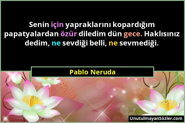 Pablo Neruda - Senin için yapraklarını kopardığım papatyalardan özür diledim dün gece. Haklısınız dedim, ne sevdiği belli, ne sevmediği....