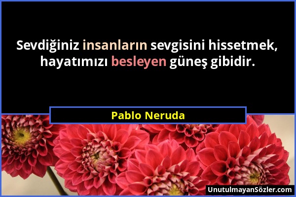 Pablo Neruda - Sevdiğiniz insanların sevgisini hissetmek, hayatımızı besleyen güneş gibidir....