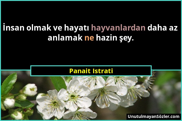 Panait Istrati - İnsan olmak ve hayatı hayvanlardan daha az anlamak ne hazin şey....