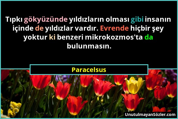 Paracelsus - Tıpkı gökyüzünde yıldızların olması gibi insanın içinde de yıldızlar vardır. Evrende hiçbir şey yoktur ki benzeri mikrokozmos'ta da bulun...