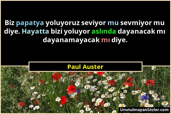 Paul Auster - Biz papatya yoluyoruz seviyor mu sevmiyor mu diye. Hayatta bizi yoluyor aslında dayanacak mı dayanamayacak mı diye....