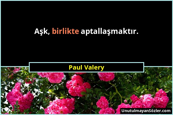 Paul Valery - Aşk, birlikte aptallaşmaktır....