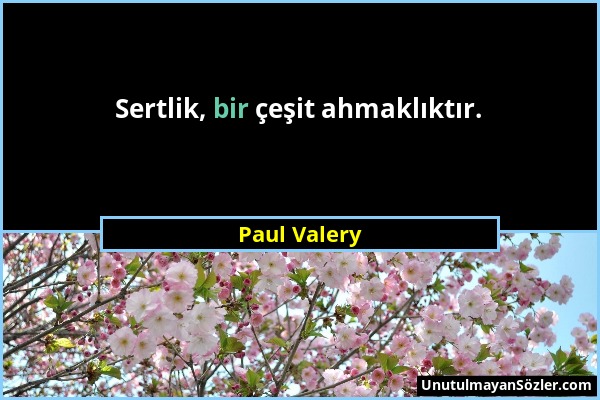 Paul Valery - Sertlik, bir çeşit ahmaklıktır....