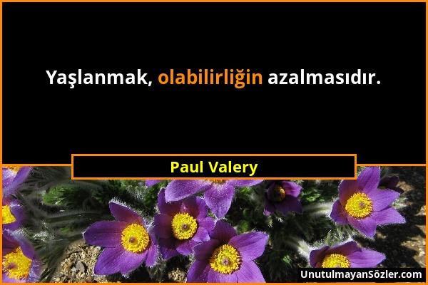 Paul Valery - Yaşlanmak, olabilirliğin azalmasıdır....