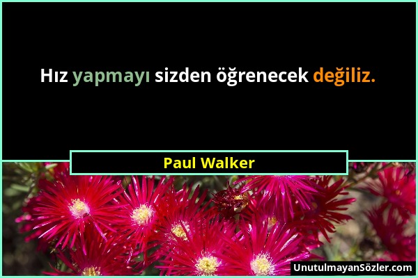 Paul Walker - Hız yapmayı sizden öğrenecek değiliz....