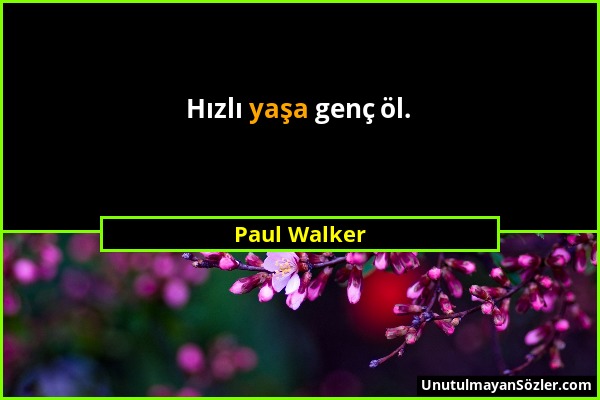 Paul Walker - Hızlı yaşa genç öl....