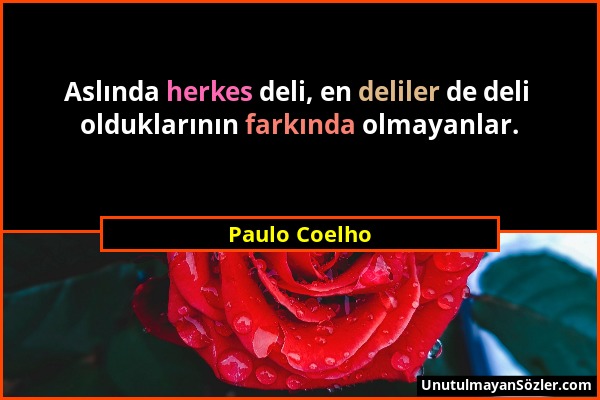 Paulo Coelho - Aslında herkes deli, en deliler de deli olduklarının farkında olmayanlar....