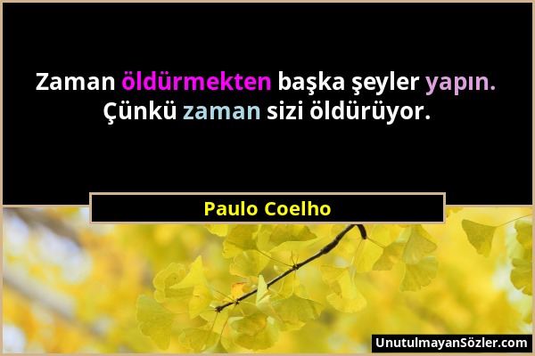 Paulo Coelho - Zaman öldürmekten başka şeyler yapın. Çünkü zaman sizi öldürüyor....