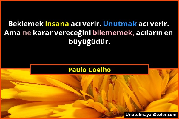 Paulo Coelho - Beklemek insana acı verir. Unutmak acı verir. Ama ne karar vereceğini bilememek, acıların en büyüğüdür....