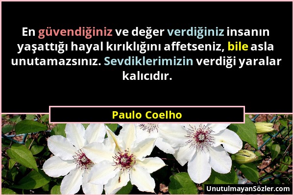 Paulo Coelho - En güvendiğiniz ve değer verdiğiniz insanın yaşattığı hayal kırıklığını affetseniz, bile asla unutamazsınız. Sevdiklerimizin verdiği ya...