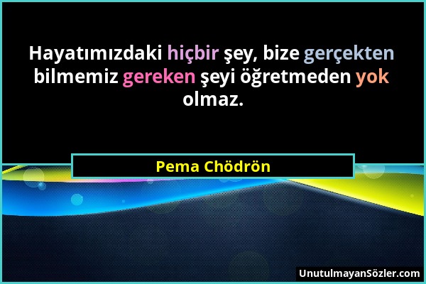 Pema Chödrön - Hayatımızdaki hiçbir şey, bize gerçekten bilmemiz gereken şeyi öğretmeden yok olmaz....