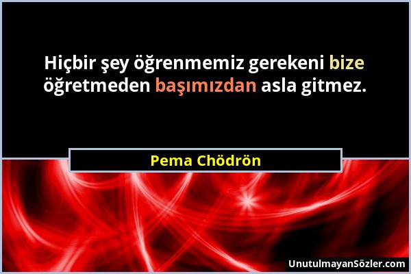 Pema Chödrön - Hiçbir şey öğrenmemiz gerekeni bize öğretmeden başımızdan asla gitmez....