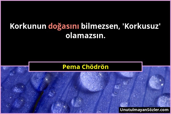 Pema Chödrön - Korkunun doğasını bilmezsen, 'Korkusuz' olamazsın....